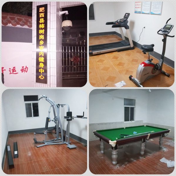 肥西(xī)柿樹(shù)崗鄉(xiāng)室內(nèi)健身(shēn)中心